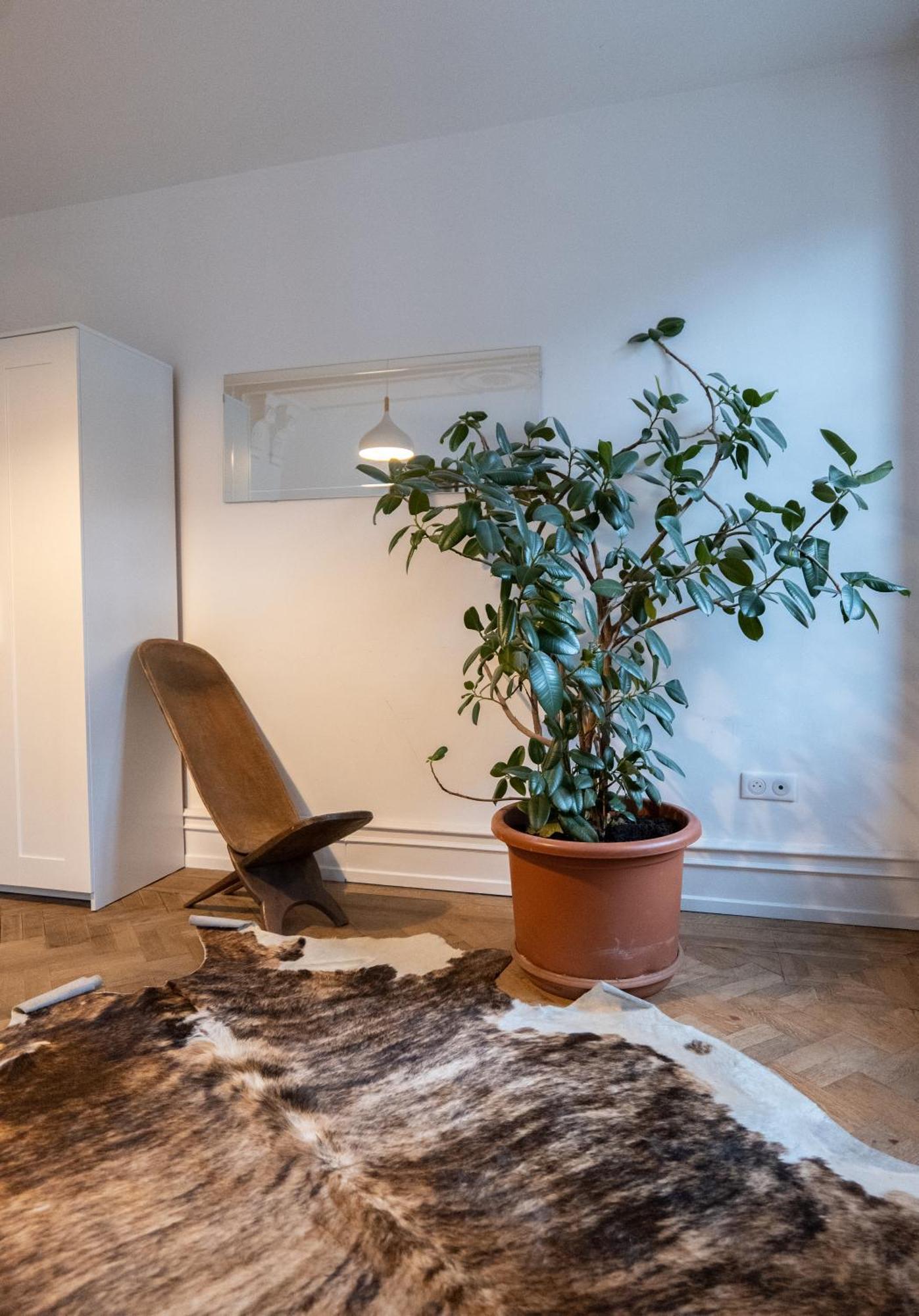 Les Appartements Rue Des Veaux - Quartier Cathedrale Στρασβούργο Εξωτερικό φωτογραφία
